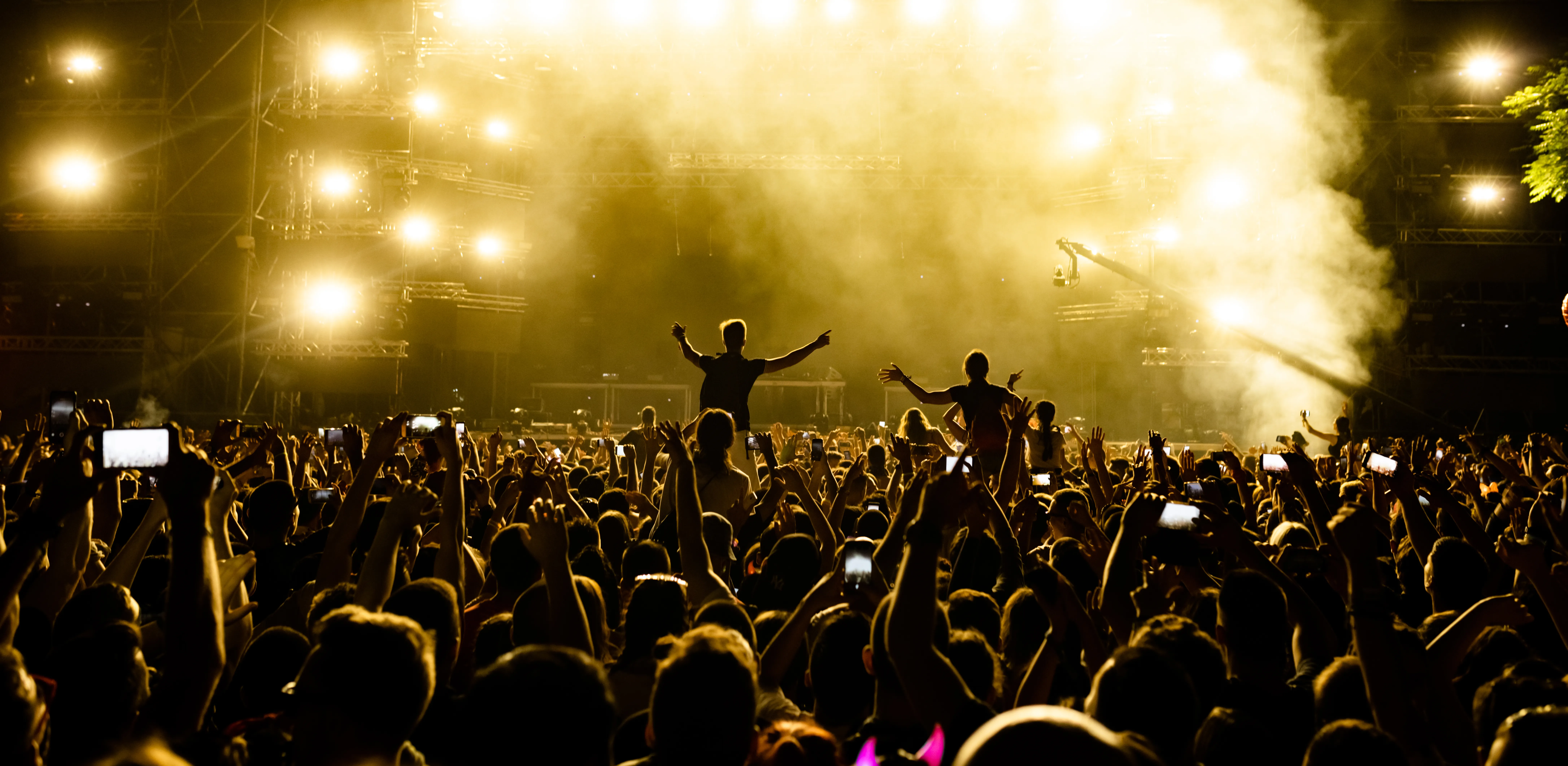 Concert vu de l'arrière de la foule