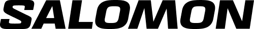Logo de Salomon